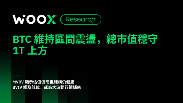 BTC 維持區間震盪，總市值穩守 1T 上方