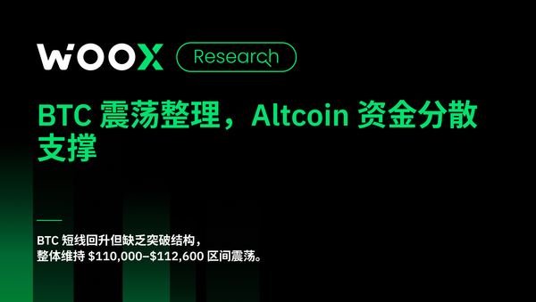 BTC 震荡整理，Altcoin 资金分散支撑